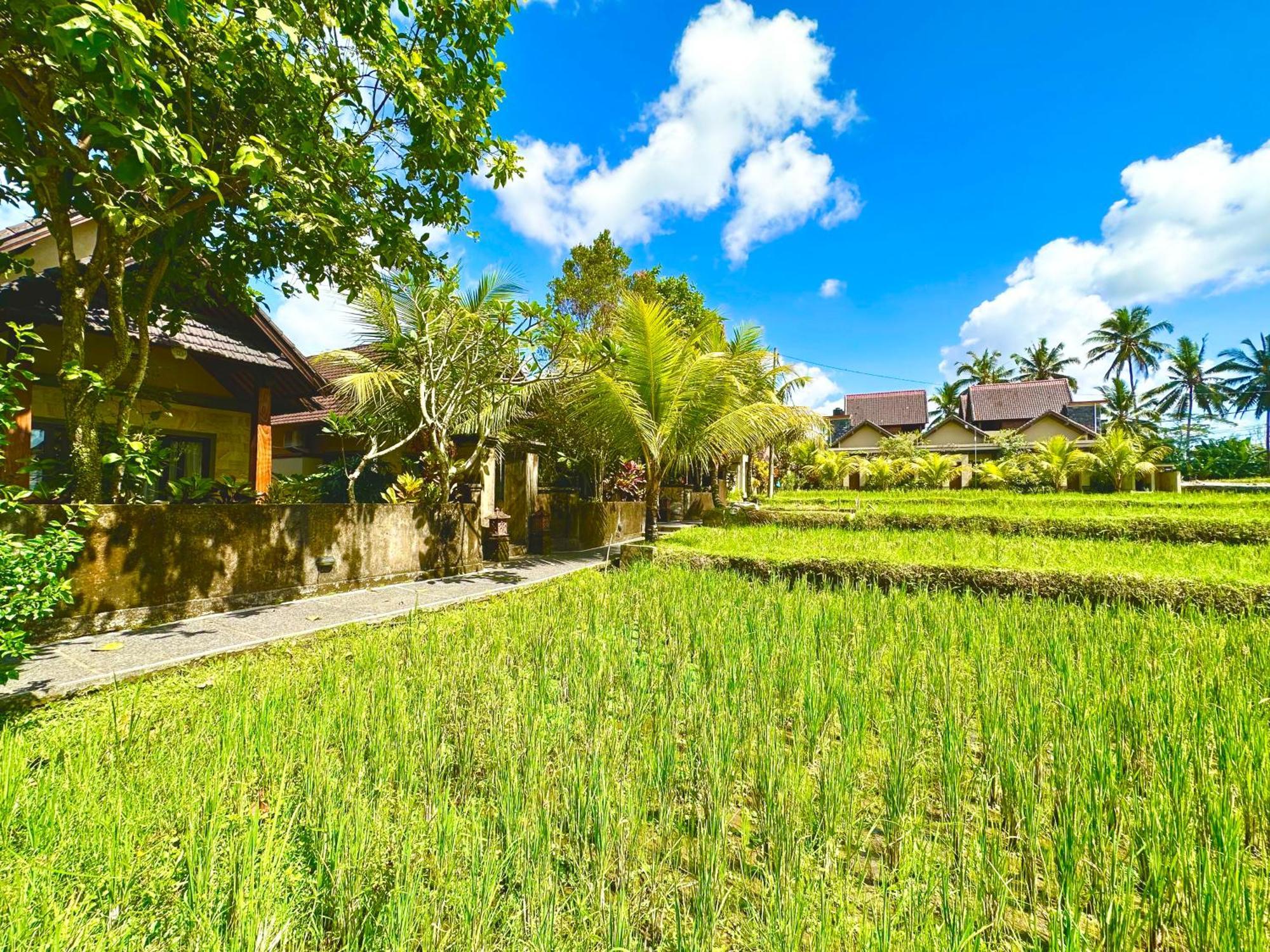 Dupa Ubud Exterior foto